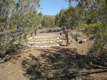 Benton, David Carson gravesite