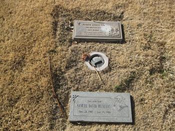Hyneman, Samuel David gravesite