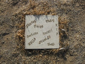 Shirley,   Thaddeus Smith gravesite