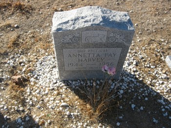 Harvey,   Annetta Fay gravesite