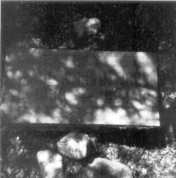 McIntire,   Paul Watson gravesite